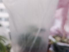 -湘鲜小灶·湖南土菜馆(龙华店)
