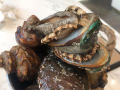 鲍鱼-半岛听涛蒸汽海鲜自助(K11店)