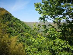 -藏龙百瀑风景区