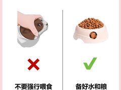 -翊宠yipet猫狗购宠庄园犬舍•猫舍