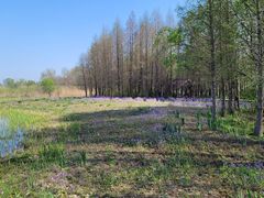 -溱湖国家湿地公园