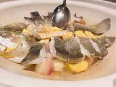 -食廬(浦东嘉里城店)