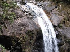 -九龙江国家森林公园