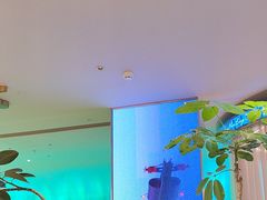 -桂满陇·蟹黄小笼汤包(巴黎春天浦建店)