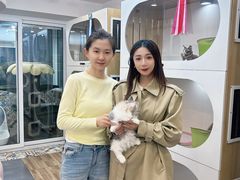 -青奢宠物·青奢猫舍