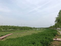 -洨河生态公园