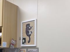 -美联众合爱康动物医院•复杂内科•肿瘤科•牙科•腔镜诊疗中心