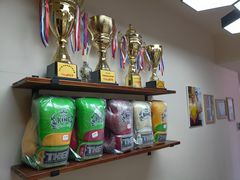 -北武堂拳击散打搏击泰拳俱乐部(三里屯总店)