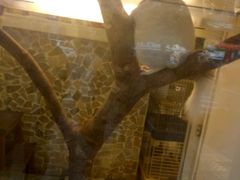 -龙猫仔乐园(惠福东路店)