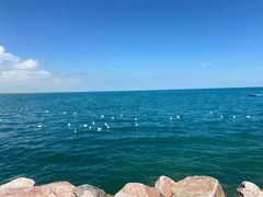 -青海湖国家重点风景名胜区