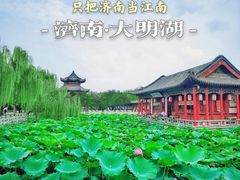 -济南大明湖景区
