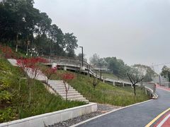 -大渡口区义渡公园