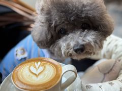 拿铁-WABI COFE(愚园路店)