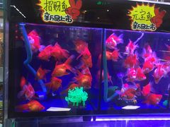 -欧亚超市(站前店)