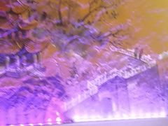 -辣得叫湘菜(观海卫店)