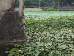 -昆山城市公园