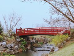 -羊山湖公园