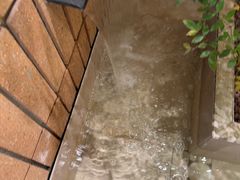 -青水瓦台汤泉(新华店)