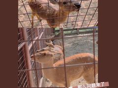 -良渚古城遗址公园