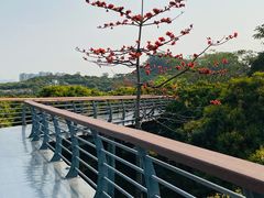 -立新湖公园