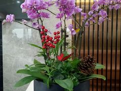 -洄归山也·高空C位湖景下午茶(东方之门店)
