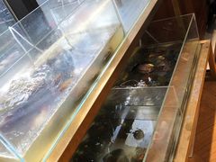 -十八字金银饰·拼豆·开蚌手工体验团建(君太百货店)