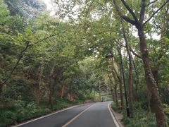 -杭州滨江宝龙城