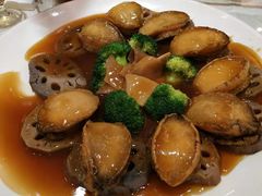 -新世纪大酒楼·30年南海菜