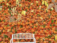 -青果巷历史文化街区