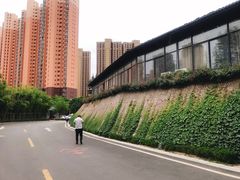 -石羊农庄
