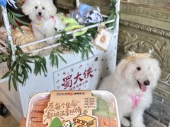 -蜀大侠火锅(春熙路店)