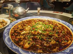 -新概念来凤鱼(璧山店)