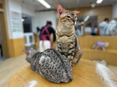 -香芙茗茶楼(梅家坞店)