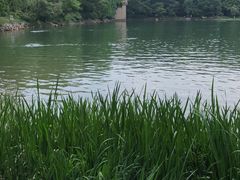 -紫霞湖公园