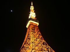 -东京塔海贼王主题公园