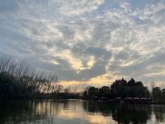 -溱湖国家湿地公园