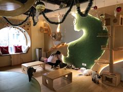 -猫和宫(六道口店)