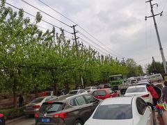 -白鹭湾湿地公园