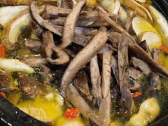 -蘑统田下·野生菌火锅