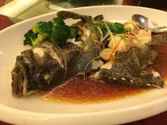 iphone_upload_pic-绿岛国际酒店·海鲜酒楼(八七路店)