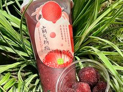 -奈雪的茶(正弘城PRO+店)