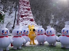 -少华山国家森林公园
