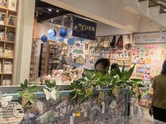 -猫的天空之城概念书店(苏州平江店)
