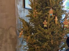 -Wagas沃歌斯(大学路店)