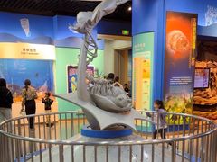 -国家自然博物馆