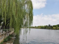 -苏州古运河游船(新市桥码头)