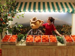 -济州岛泰迪熊博物馆