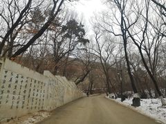 -北山公园
