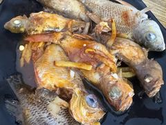 -小猫钓鱼海钓俱乐部(椰梦长廊店)