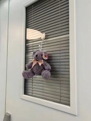 -杭州贝瑞斯美华妇儿医院·早孕·产检·儿科